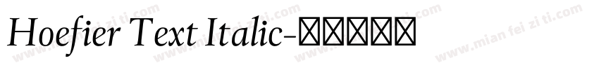Hoefier Text Italic字体转换